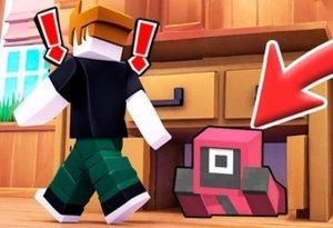 Hide and Seek Challenge