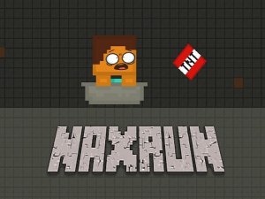 NaxRun Adventure Arcade Game